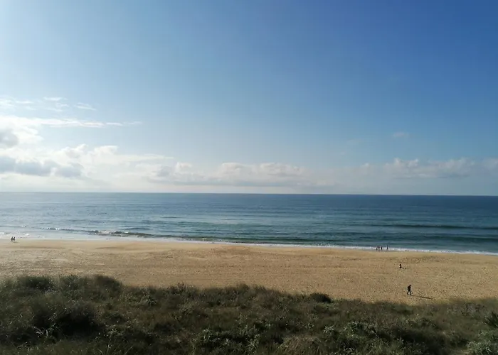 Mobilhome Cote Landaise Les Dunes De Contis 4